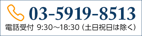 03-5919-8513